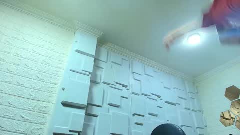 Kitten online show from November 21, 11:34 am