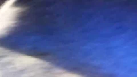 MidnightGirl online show from December 22, 9:29 pm