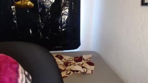 Zoe online show from November 12, 11:08 am