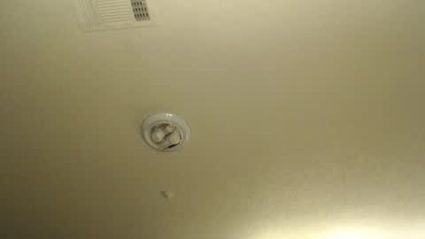 Nikki Mastersgirl1091 online show from March 30, 11:32 am