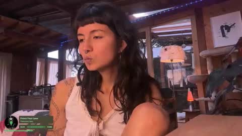 Nina.  online show from November 29, 10:14 pm