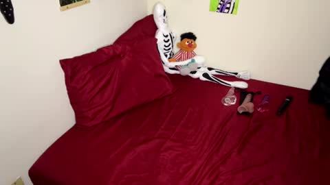 Nymphaea online show from November 14, 12:32 am