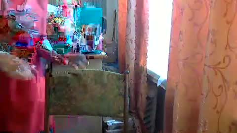 Olivia Mia online show from April 24, 8:50 am