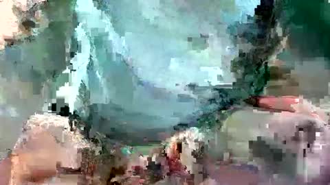 Daisy online show from February 9, 9:17 pm