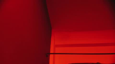  P A M  online show from December 15, 8:47 pm