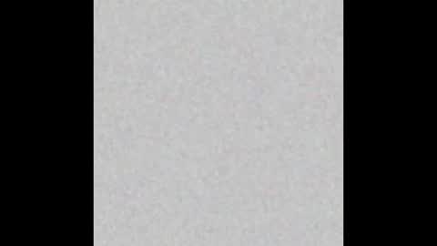 Paola Williams online show from November 24, 7:38 pm