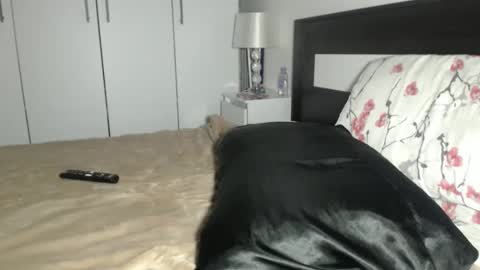 Snapshot of petite_danielle chatting on October 11, 7:38 pm petite_danielle online show from October 11, 7:38 pm