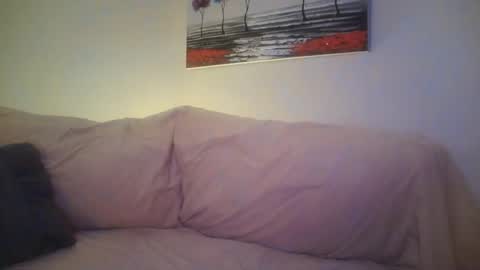 petite treat  online show from February 8, 10:50 am