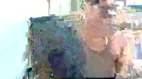 Pfani online show from April 19, 12:16 pm