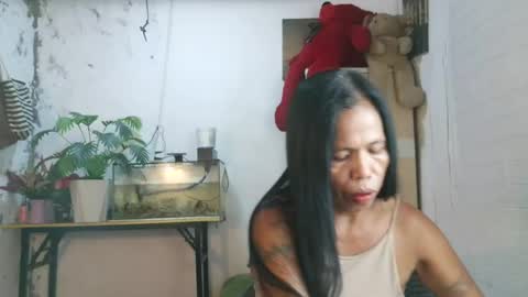hazel online show from July 21, 4:13 am