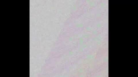 Tash online show from November 30, 8:51 am