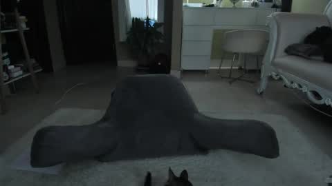 Snapshot of polvodeestrellas_ chatting on December 10, 10:26 pm  - Help me Reach 100 thumbs up  online show from December 10, 10:26 pm