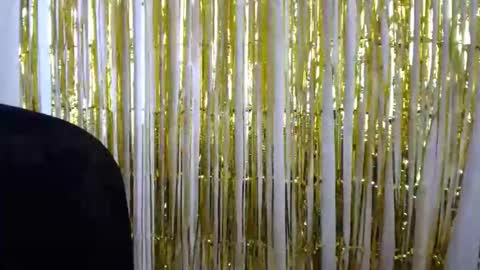 popetykely00 online show from December 16, 6:53 am