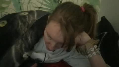 Redfox online show from November 30, 11:47 am