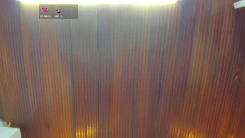 Snapshot of riley_reid_19 chatting on December 15, 3:02 am kamila online show from December 15, 3:02 am