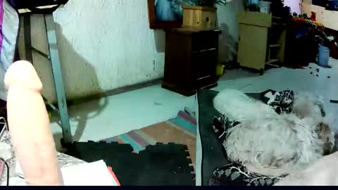 ruby  chocoholic cakeholic coffeeholic cookieholic online show from November 6, 1:11 am