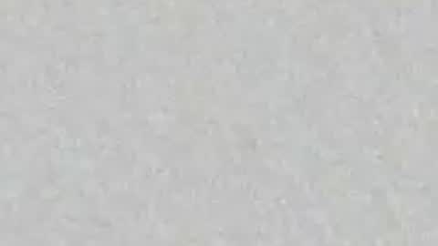 Sammy online show from April 14, 2:22 am