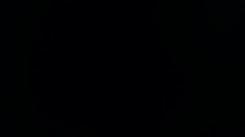  1 online show from December 2, 7:27 pm