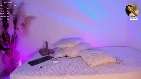 scarlet  online show from February 13, 11:45 am