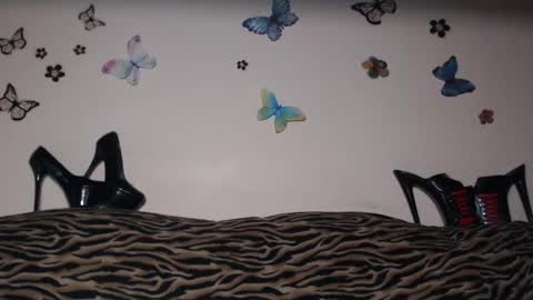 Emily online show from April 16, 8:30 pm