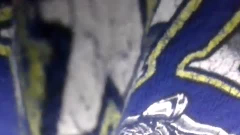 Sunny online show from March 17, 12:58 am