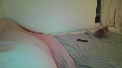 seducedaddy online show from September 25, 7:01 pm