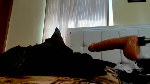 Ms CandyAss online show from November 28, 6:38 am