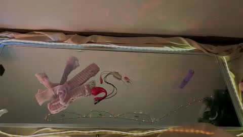 Mali online show from January 15, 9:59 am