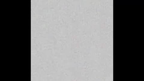 BRI online show from February 20, 2:35 pm