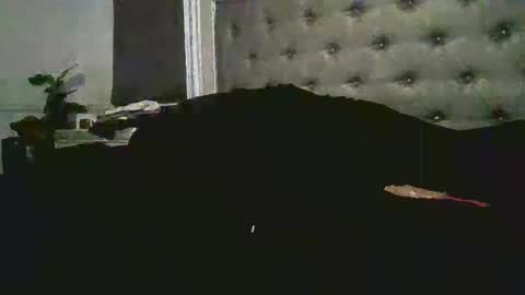 babygirl online show from December 17, 10:19 am