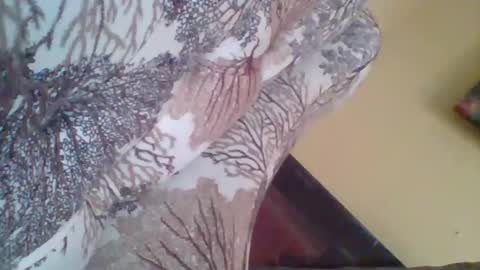 shydolly01 online show from November 18, 4:02 am