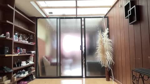 Alice Skay online show from January 17, 6:48 pm