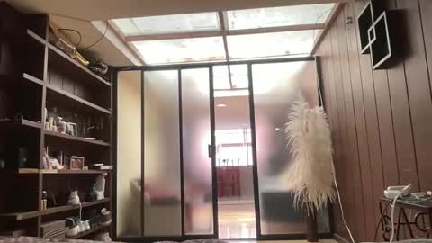 Alice Skay online show from November 22, 3:48 pm