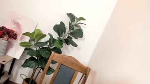 STELLA online show from July 12, 8:26 am