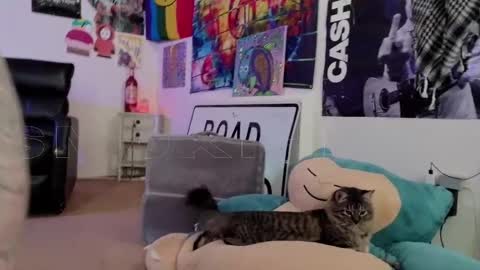 Big Dawg online show from November 5, 8:08 am