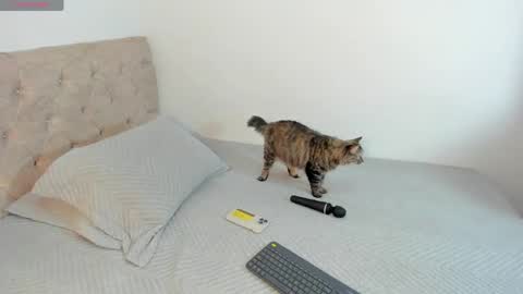 sofi_martinezz1 online show from April 16, 5:52 am