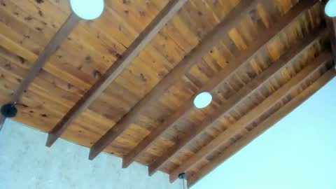 Sofi online show from February 15, 11:20 am