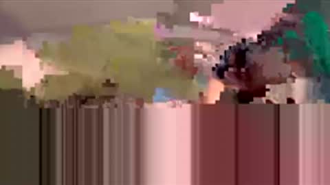 starbie online show from March 19, 4:33 pm