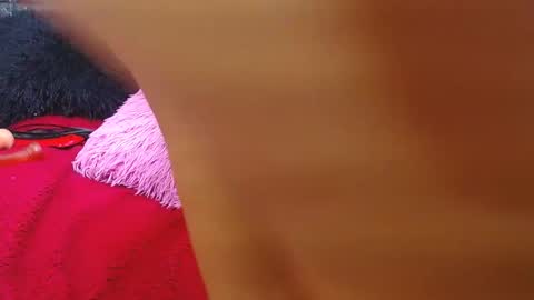 Stefan online show from December 9, 3:29 am