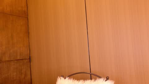 S T E L L A online show from February 27, 1:27 am