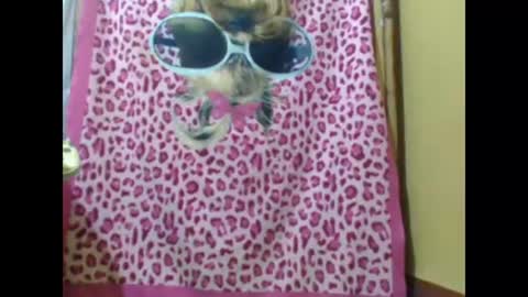 sweetib1 online show from February 8, 6:22 pm