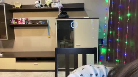Stacy online show from July 16, 6:51 am