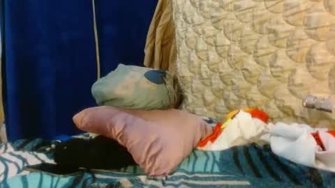 Katty badbitch online show from April 19, 7:16 pm