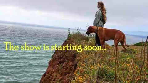 TATUM  ALL MY LINKS  online show from May 13, 9:09 pm