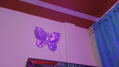TIINY  Special show when it reaches 10000 flowers  online show from June 1, 3:41 am