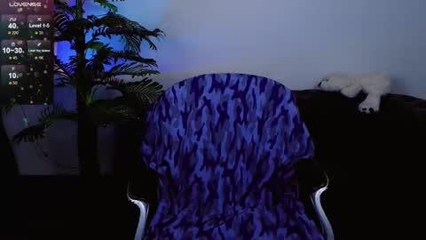   online show from January 15, 7:05 am