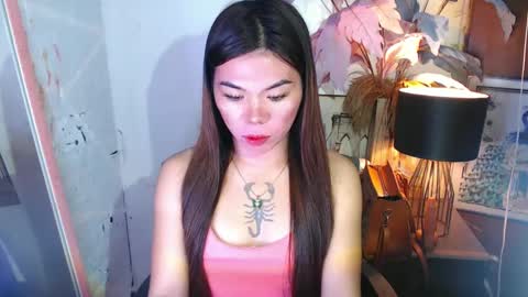 tsnovy online show from December 8, 6:01 am