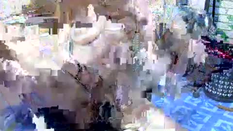 ZIA online show from April 7, 7:16 pm