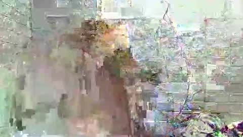 juliana online show from February 20, 11:34 am