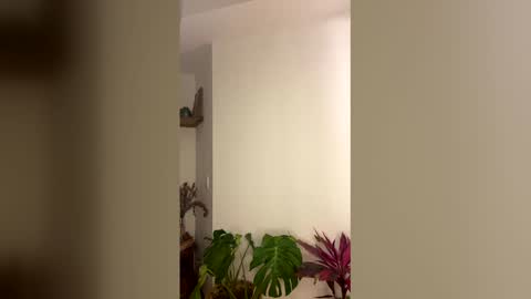 Val riess - Val. online show from December 17, 2:27 am